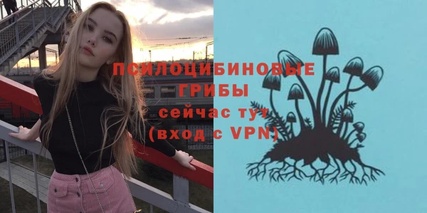 твердый Белоозёрский