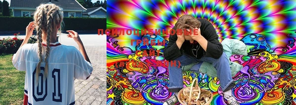 круглые Белокуриха