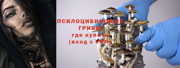 твердый Белоозёрский