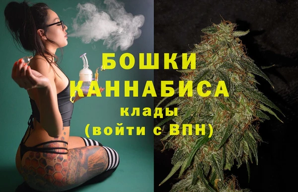 ПСИЛОЦИБИНОВЫЕ ГРИБЫ Беломорск