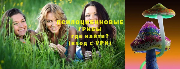 ПСИЛОЦИБИНОВЫЕ ГРИБЫ Беломорск