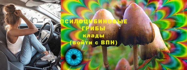твердый Белоозёрский