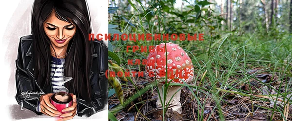 ПСИЛОЦИБИНОВЫЕ ГРИБЫ Беломорск