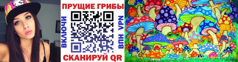 Псилоцибиновые грибы ЛСД  Купино 